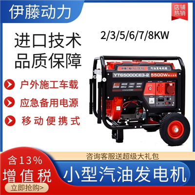 5KW開(kāi)架式汽油發(fā)電機(jī)YT6500DCE3-2